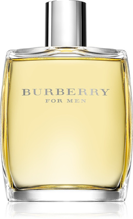 Burberry pentru bărbați Apă de toaletă 100 ml