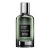 Hugo Boss Elegant Vetiver Eau de Parfum pentru bărbați 100 ml