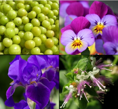 Tesori d`Oriente Ayurveda 100 ml Apă de Parfum